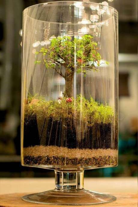 22. Terrário em vaso com bonsai