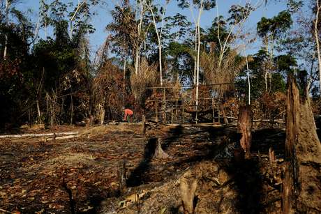 Garimpo na Floresta Amazônica em Itaituba, no Pará
 5/8/2017    REUTERS/Nacho Doce 