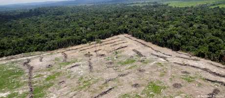 Em 2018, taxa de desmatamento da Amazônia foi a mais alta da última década: 7,9 mil km² Em 2018, taxa de desmatamento da Amazônia foi a mais alta da última década: 7,9 mil km²