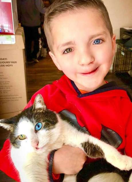 O garoto Madde, de sete anos, e seu gatinho Moon. O garoto Madde, de sete anos, e seu gatinho Moon.