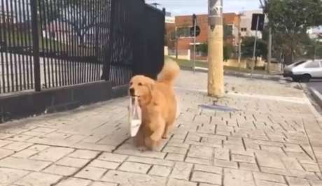 Mel voltando da padaria com a sacola de pães na boca.