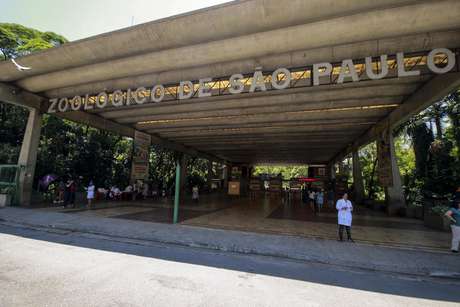 Macaco bugio é diagnosticado com febre amarela no Zoológico de SP Macaco bugio é diagnosticado com febre amarela no Zoológico de SP