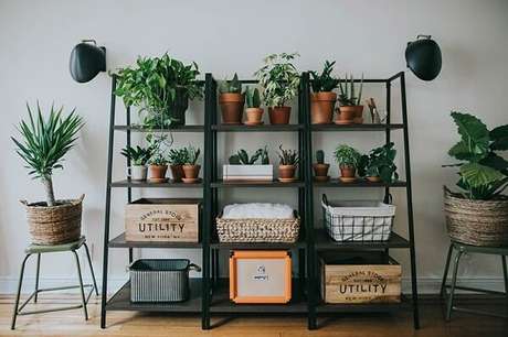 6- A coleção de plantas para sala foi colocada em estante de metal. Fonte: iCasei