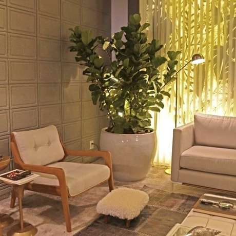 Plantas para Sala: Veja +65 Ideias Versáteis e Elegantes para Decorar - MS  em Movimento