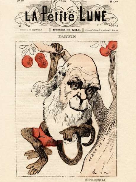 Revista francesa com caricatura de Darwin e sua teoria de que os humanos e os macacos têm um ancestral comum. Revista francesa com caricatura de Darwin e sua teoria de que os humanos e os macacos têm um ancestral comum.