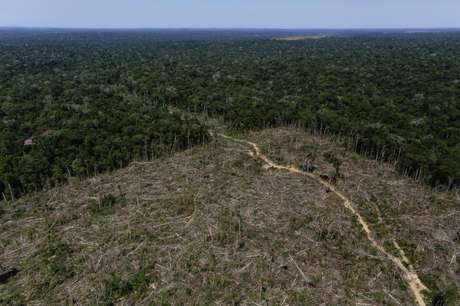 Área desmatada da Amazônia