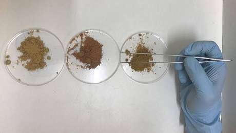 Pesquisadores do Cena/USP avaliaram rações de cães e gatos, não encontrando ingredientes apontados nos rótulos