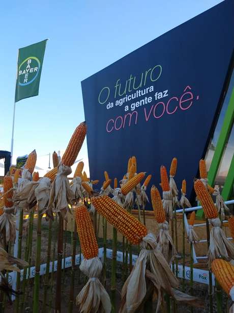 Divulgação/ Bayer / DINO