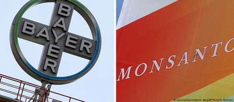 Bayer leva à frente planos de ampliação de fábrica de processamento de sementes da Monsanto no Chile