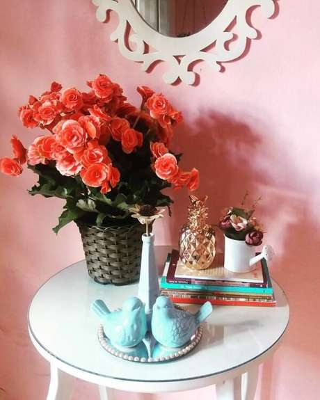 22- A begônia é uma planta decorativa e muito comum no mercado. Fonte: Pinterest 22- A begônia é uma planta decorativa e muito comum no mercado. Fonte: Pinterest