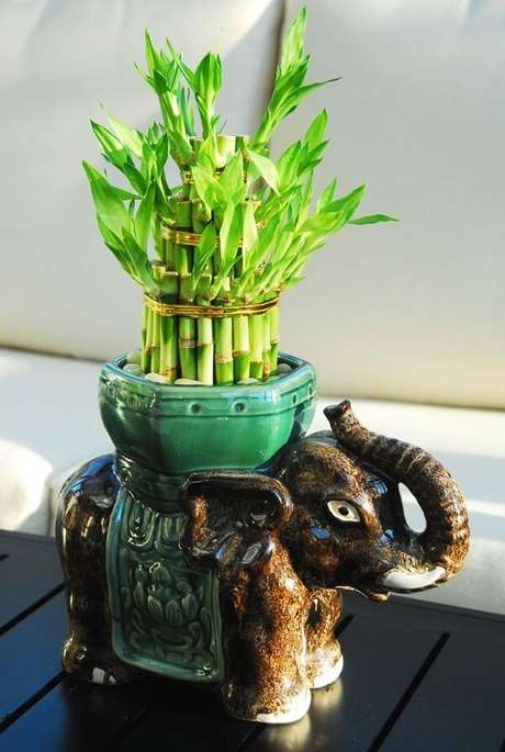 8. Arranjo feito com esse vegetal. Fonte: Pinterest 8. Arranjo feito com esse vegetal. Fonte: Pinterest