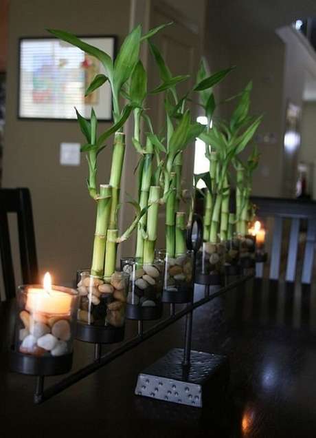1. Arranjo de centro de mesa feito com bambu da sorte. Fonte: Small Garden Ideas 1. Arranjo de centro de mesa feito com bambu da sorte. Fonte: Small Garden Ideas