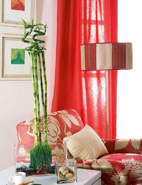 16. Inclua essa planta na decoração da sala de estar. Fonte: Decoração de Apartamentos 16. Inclua essa planta na decoração da sala de estar. Fonte: Decoração de Apartamentos