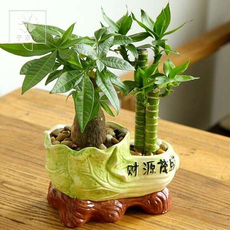 24. Mini arranjo para decoração da casa. Fonte: Pinterest 24. Mini arranjo para decoração da casa. Fonte: Pinterest