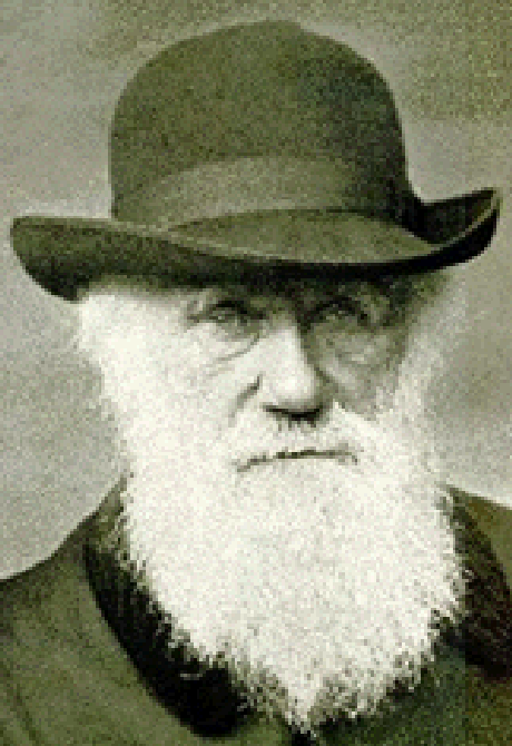 Darwin nesta imagem Darwin nesta imagem