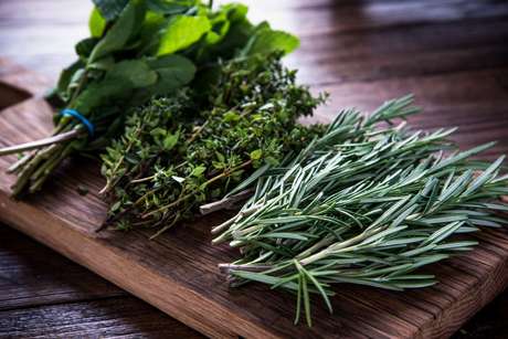 Temperos para cultivar em casa: confira como e quais