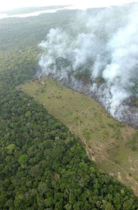 Amazônia sofre com mentalidade cega e destruidora, diz Papa Amazônia sofre com mentalidade cega e destruidora, diz Papa