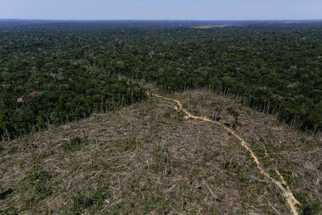 Desmatamento da Amazônia em ApuÃ­, no Amazonas
27/07/2017
REUTERS/Bruno Kell