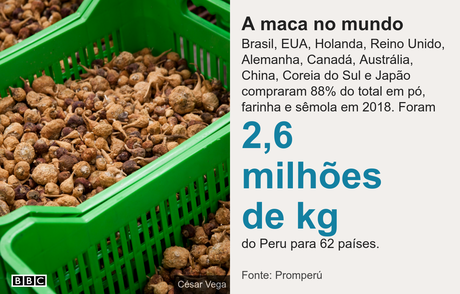 maca peruana como tomar para engravidar
