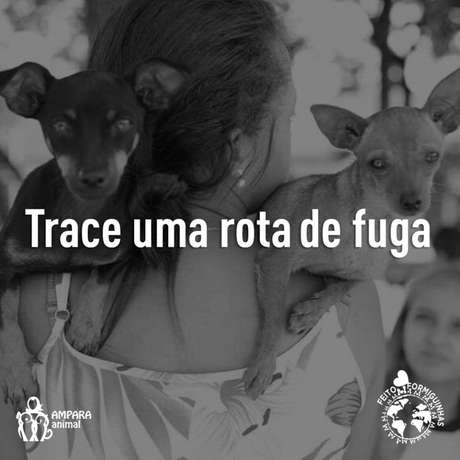 Realize uma simulação de fuga juntamente com seus animais, caso viva em área de risco. Realize uma simulação de fuga juntamente com seus animais, caso viva em área de risco.