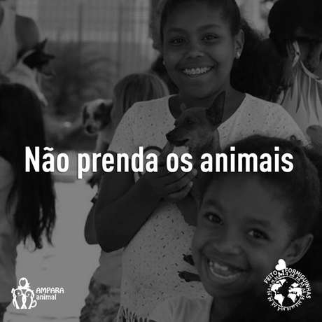 Para pessoas que vivem em áreas de risco, proteger os animais é fundamental. Para pessoas que vivem em áreas de risco, proteger os animais é fundamental.