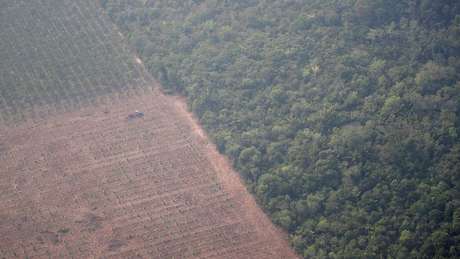 Imagem aérea do último dia 22 mostra trator em uma plantação ao lado de floresta perto de Porto Velho (RO); presidente da SRB não vê contradição entre preservar e aumentar produção