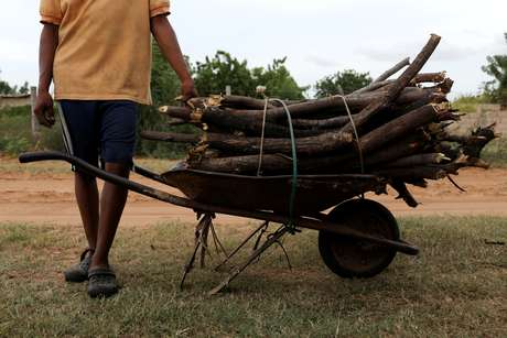 Homem transporte galhos de árvore nos arredores de Maracaibo, na Venezuela
01/08/2019
REUTERS/Manaure Quintero