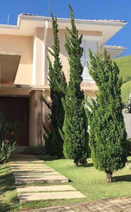 36. Caminhos de Kaizuka são lindos e luxuosos. Foto: Decor Fácil 36. Caminhos de Kaizuka são lindos e luxuosos. Foto: Decor Fácil
