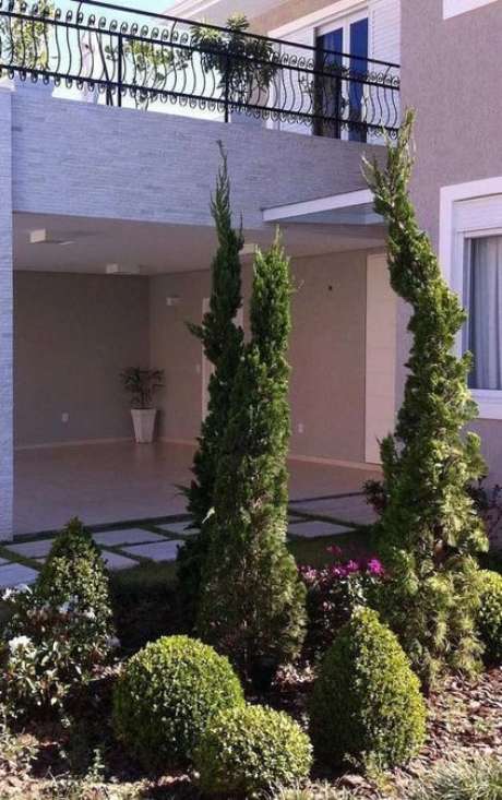 39. O Kaizuka fica lindo em um jardim de canteiro. Foto: Decor Fácil 39. O Kaizuka fica lindo em um jardim de canteiro. Foto: Decor Fácil