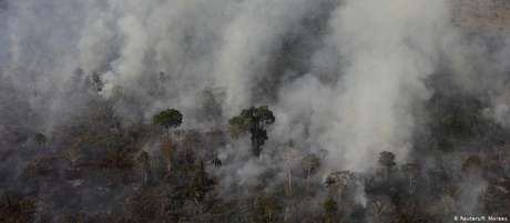 Fogo devasta floresta na região de Porto Velho Fogo devasta floresta na região de Porto Velho