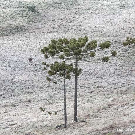 Climatempo
