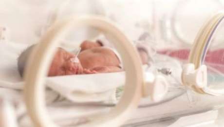 Foto: Shutterstock Foto: Shutterstock