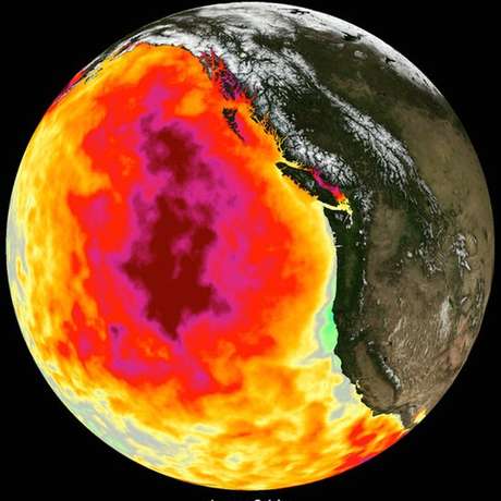 Em 2015, os satélites registraram um aquecimento incomum do Oceano Pacífico na costa oeste dos Estados Unidos. Em 2015, os satélites registraram um aquecimento incomum do Oceano Pacífico na costa oeste dos Estados Unidos.