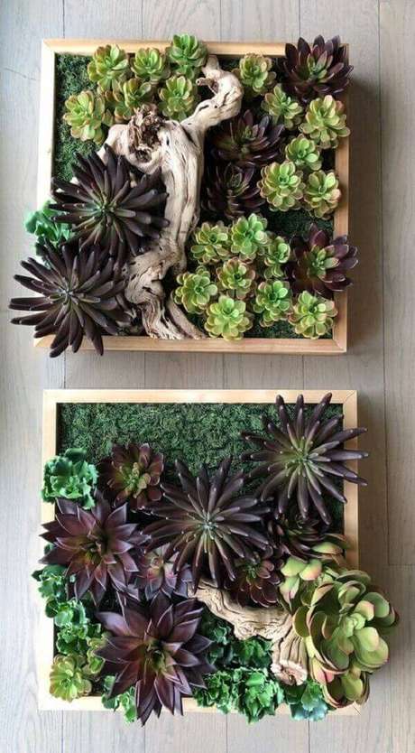 36. O jardim de suculentas forma a composição de dois quadros no ambientes. Fonte: Etsy 36. O jardim de suculentas forma a composição de dois quadros no ambientes. Fonte: Etsy