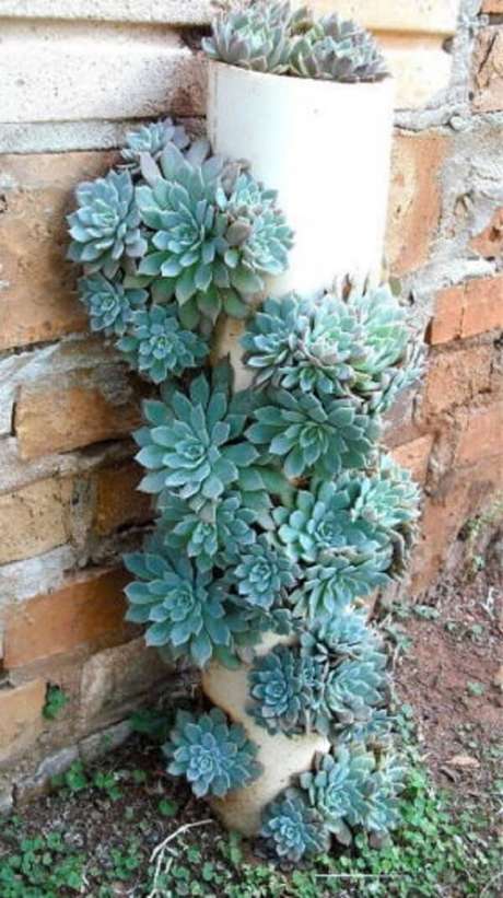 54. Tubos de PVC foram utilizados para compor esse jardim de suculentas. Fonte: Pinterest 54. Tubos de PVC foram utilizados para compor esse jardim de suculentas. Fonte: Pinterest