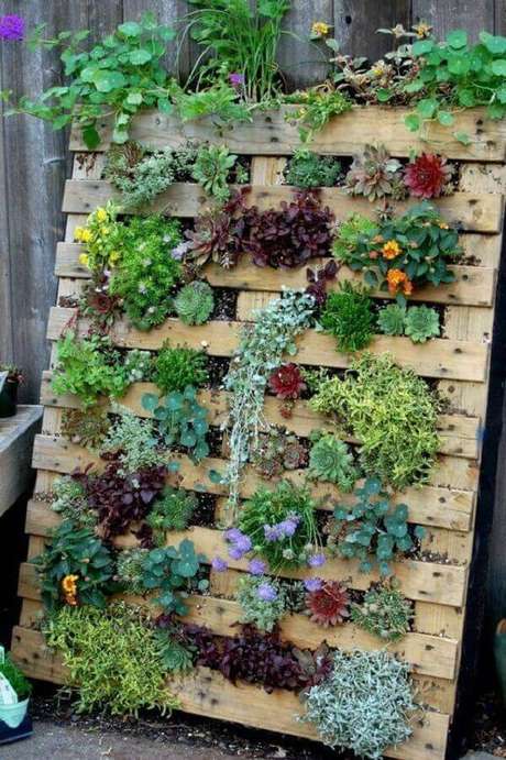 12. Monte um jardim vertical com suculentas utilizando um pallet de madeira. Fonte: Consumo Social 12. Monte um jardim vertical com suculentas utilizando um pallet de madeira. Fonte: Consumo Social