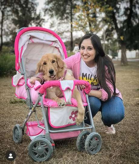 Evento tem como objetivo trazer visibilidade para os pets com algum tipo de deficiência 