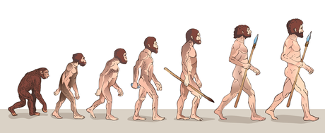 Os homens modernos não evoluíram dos macacos, mas compartilham de um ancestral comum