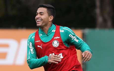 O Palmeiras está próximo de se garantir na fase de grupos da Copa Libertadores (Foto: Divulgação/SEP) O Palmeiras está próximo de se garantir na fase de grupos da Copa Libertadores (Foto: Divulgação/SEP)