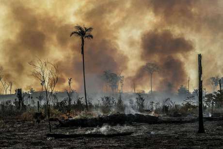 Queimada na terras do produtor rural José Silva de Souza em Santo Antonio do Matupi, sul do Amazonas. O local foi atingido por um incêndio provocado.