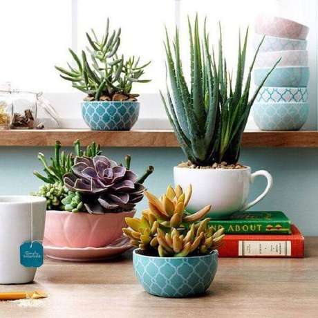 14. Utilize xícaras para cultivar todos os tipos de cactos. Fonte: So Cute 14. Utilize xícaras para cultivar todos os tipos de cactos. Fonte: So Cute