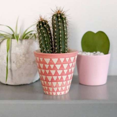 46. Vaso criativo para diferentes tipos de cactos. Fonte: Pinterest 46. Vaso criativo para diferentes tipos de cactos. Fonte: Pinterest