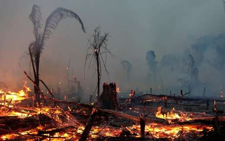 35% do desmatamento na Amazônia entre agosto de 2018 e julho de 2019 se deu em terras públicas não destinadas, categoria visada por grileiros