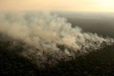 Fogo costuma ser usado por grileiros para 'limpar' áreas de floresta e substituí-las por pastagens