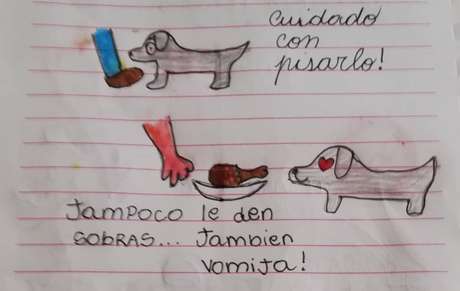 Criança fez uma lista de cuidados para a tia tomar com o cachorro Milo