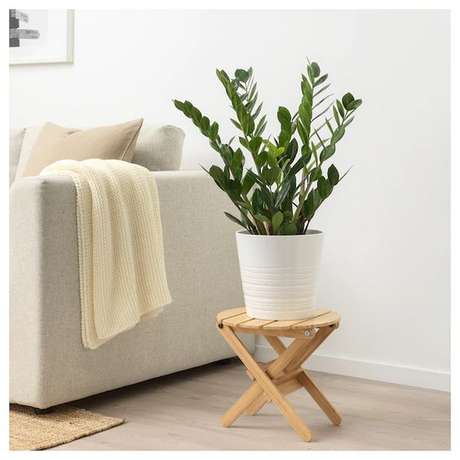 38. Plantas de sombra para decoração de casa: Zamioculca – Foto: Ikea 38. Plantas de sombra para decoração de casa: Zamioculca – Foto: Ikea
