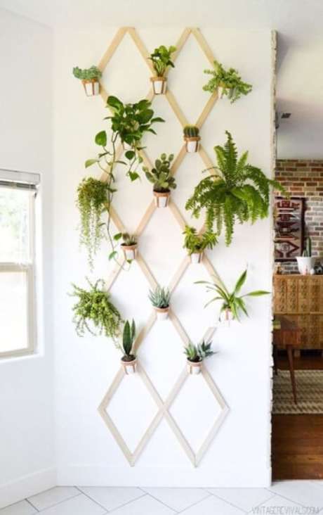 25. Paredes decoradas com plantas – Foto: Como decorar Armicuarto