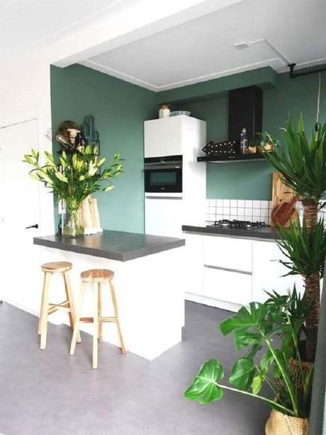 13. Decoração para cozinha planejada pequena com parede verde – Foto: Reformar sem Quebrar