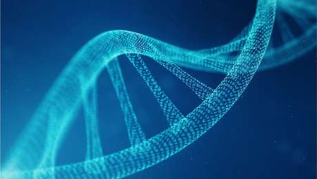 DNA de grupo 'fantasma' representa entre 2% e 19% da ancestralidade genética dos africanos ocidentais modernos DNA de grupo 'fantasma' representa entre 2% e 19% da ancestralidade genética dos africanos ocidentais modernos
