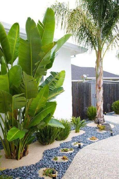 plantas grandes para jardim residencial com caminho de pedras Foto Backyard Mastery plantas grandes para jardim residencial com caminho de pedras Foto Backyard Mastery